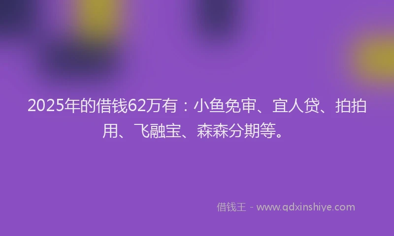 2025年的借钱62万有：小鱼免审、宜人贷、拍拍用、飞融宝、森森分期等。