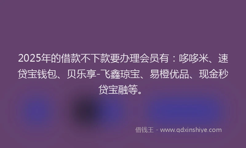 2025年的借款不下款要办理会员有：哆哆米、速贷宝钱包、贝乐享-飞鑫琼宝、易橙优品、现金秒贷宝融等。