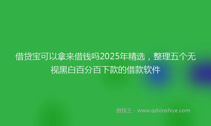 借贷宝可以拿来借钱吗2025年精选，整理五个无视黑白百分百下款的借款软件