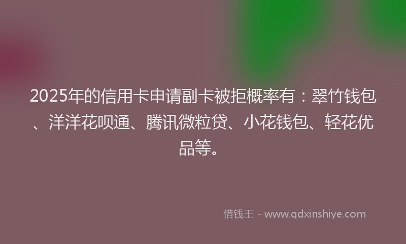 2025年的信用卡申请副卡被拒概率有：翠竹钱包、洋洋花呗通、腾讯微粒贷、小花钱包、轻花优品等。