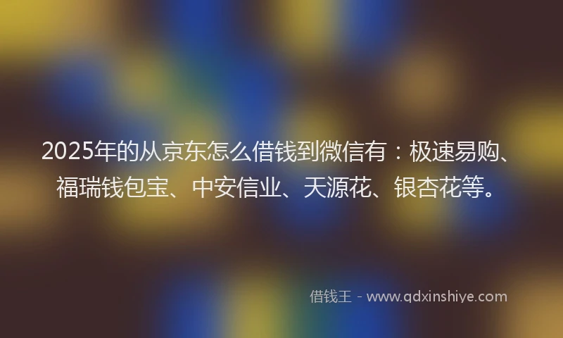 2025年的从京东怎么借钱到微信有：极速易购、福瑞钱包宝、中安信业、天源花、银杏花等。