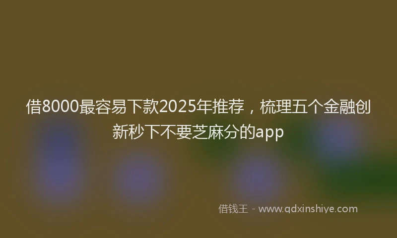 借8000最容易下款2025年推荐，梳理五个金融创新秒下不要芝麻分的app
