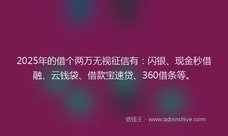 2025年的借个两万无视征信有：闪银、现金秒借融、云钱袋、借款宝速贷、360借条等。