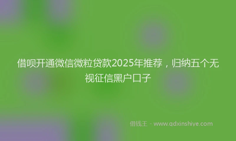 借呗开通微信微粒贷款2025年推荐，归纳五个无视征信黑户口子
