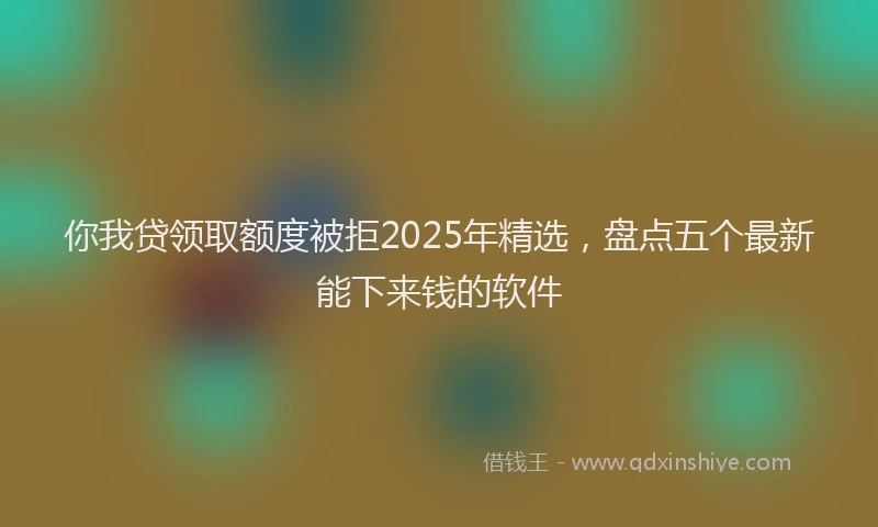 你我贷领取额度被拒2025年精选，盘点五个最新能下来钱的软件