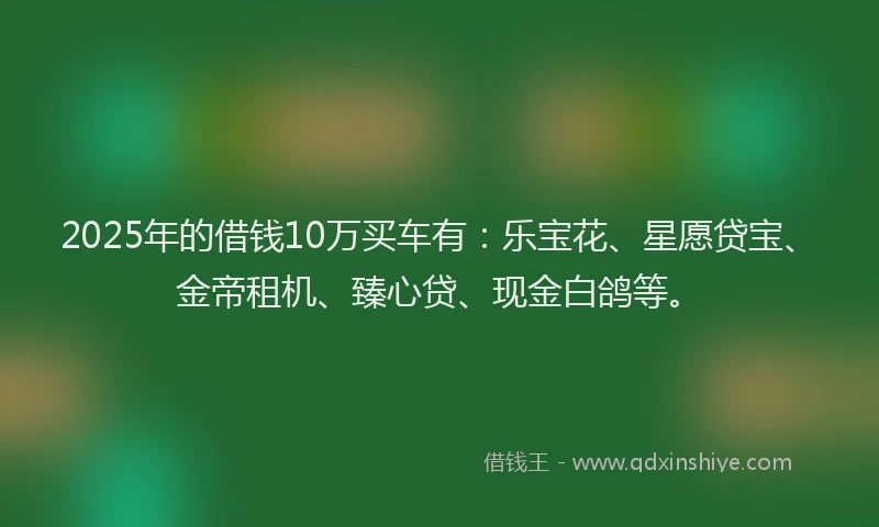 2025年的借钱10万买车有：乐宝花、星愿贷宝、金帝租机、臻心贷、现金白鸽等。