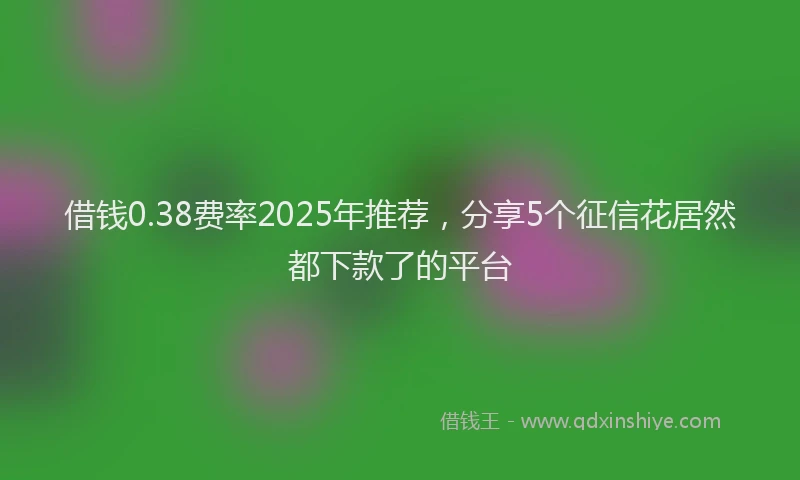 借钱0.38费率2025年推荐，分享5个征信花居然都下款了的平台