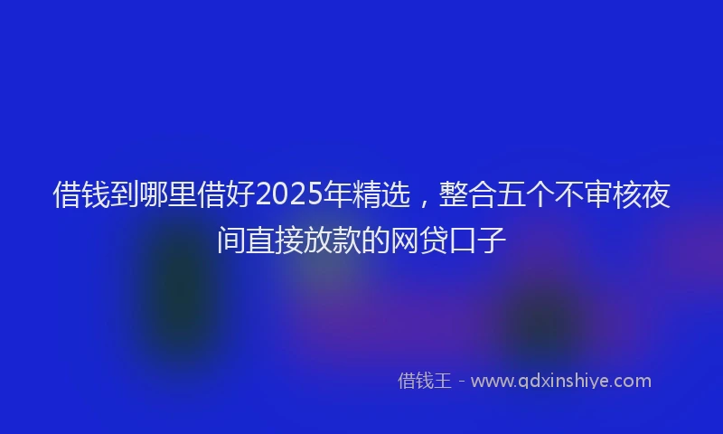 借钱到哪里借好2025年精选，整合五个不审核夜间直接放款的网贷口子