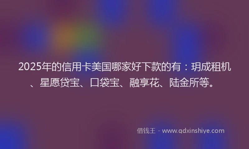 2025年的信用卡美国哪家好下款的有：玥成租机、星愿贷宝、口袋宝、融享花、陆金所等。