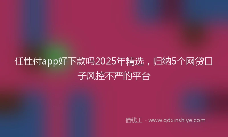 任性付app好下款吗2025年精选，归纳5个网贷口子风控不严的平台