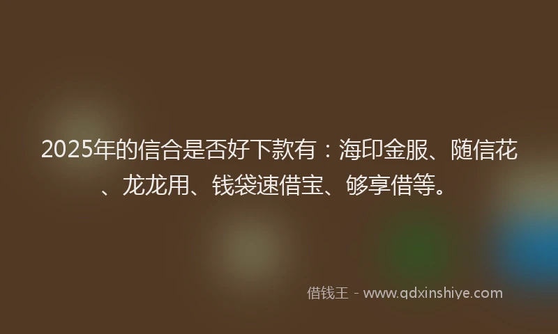 2025年的信合是否好下款有：海印金服、随信花、龙龙用、钱袋速借宝、够享借等。
