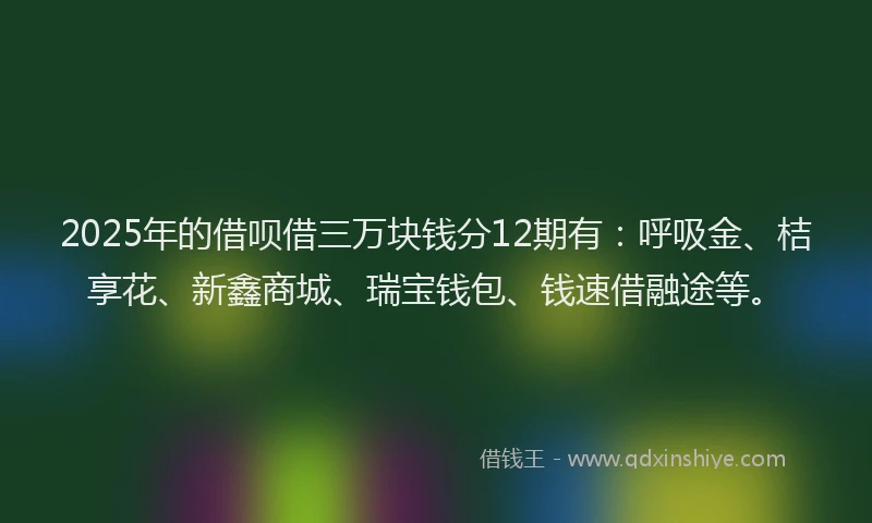 2025年的借呗借三万块钱分12期有：呼吸金、桔享花、新鑫商城、瑞宝钱包、钱速借融途等。