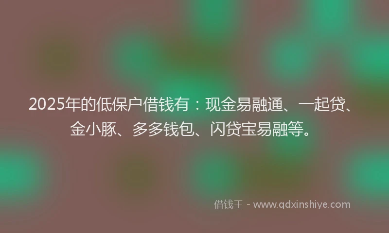2025年的低保户借钱有：现金易融通、一起贷、金小豚、多多钱包、闪贷宝易融等。