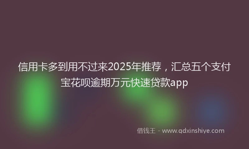 信用卡多到用不过来2025年推荐，汇总五个支付宝花呗逾期万元快速贷款app