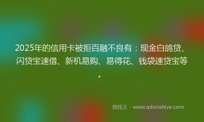 2025年的信用卡被拒百融不良有：现金白鸽贷、闪贷宝速借、新机易购、易得花、钱袋速贷宝等。