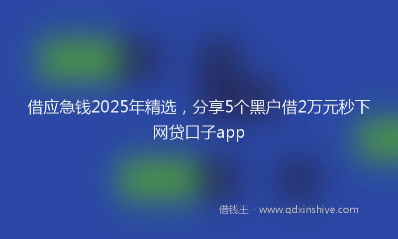 借应急钱2025年精选，分享5个黑户借2万元秒下网贷口子app