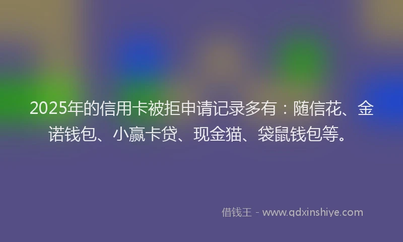2025年的信用卡被拒申请记录多有：随信花、金诺钱包、小赢卡贷、现金猫、袋鼠钱包等。