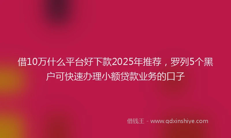 借10万什么平台好下款2025年推荐，罗列5个黑户可快速办理小额贷款业务的口子