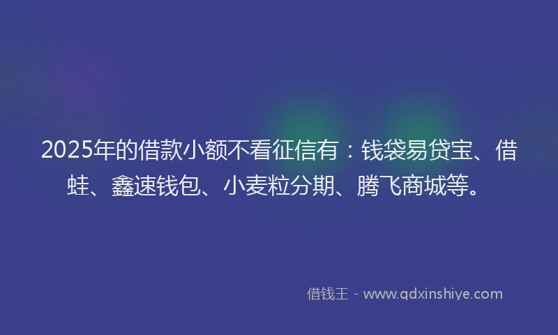 2025年的借款小额不看征信有：钱袋易贷宝、借蛙、鑫速钱包、小麦粒分期、腾飞商城等。
