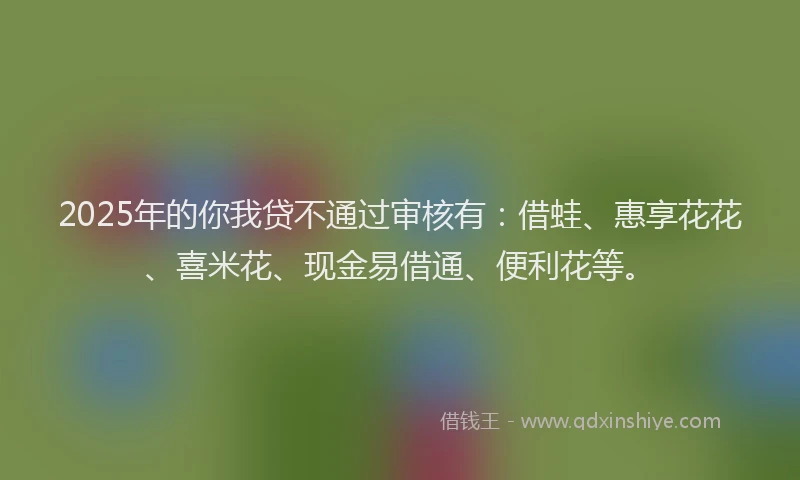 2025年的你我贷不通过审核有：借蛙、惠享花花、喜米花、现金易借通、便利花等。