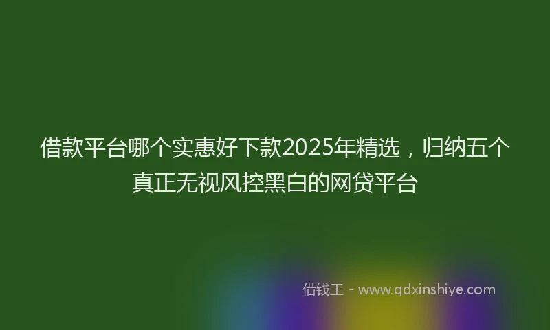 借款平台哪个实惠好下款2025年精选，归纳五个真正无视风控黑白的网贷平台