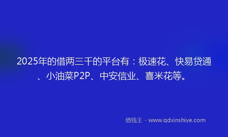 2025年的借两三千的平台有：极速花、快易贷通、小油菜P2P、中安信业、喜米花等。