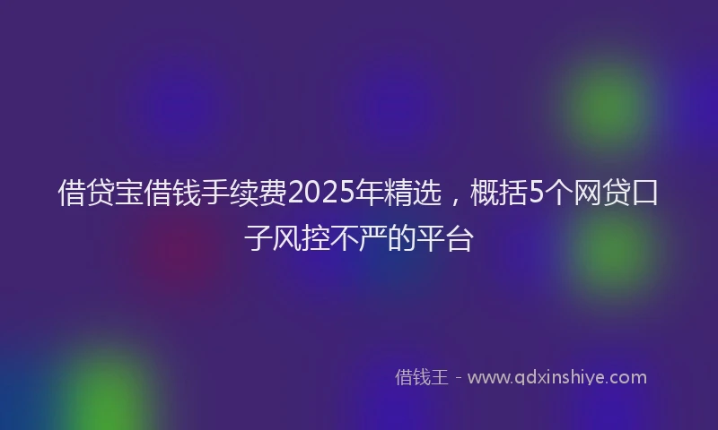 借贷宝借钱手续费2025年精选，概括5个网贷口子风控不严的平台