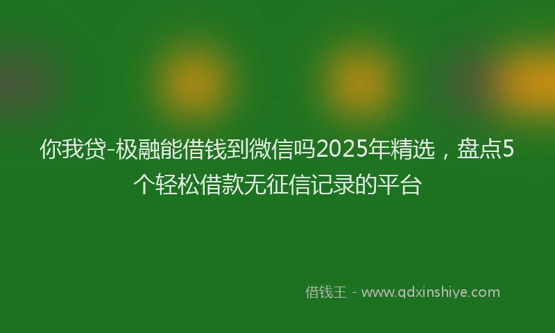 你我贷-极融能借钱到微信吗2025年精选，盘点5个轻松借款无征信记录的平台