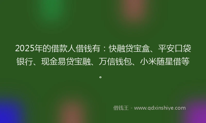 2025年的借款人借钱有：快融贷宝盒、平安口袋银行、现金易贷宝融、万信钱包、小米随星借等。