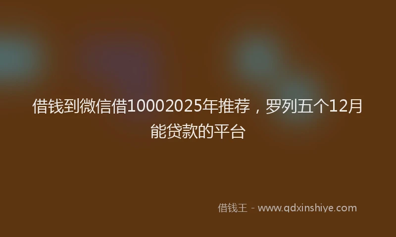 借钱到微信借10002025年推荐，罗列五个12月能贷款的平台