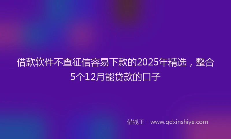 借款软件不查征信容易下款的2025年精选，整合5个12月能贷款的口子