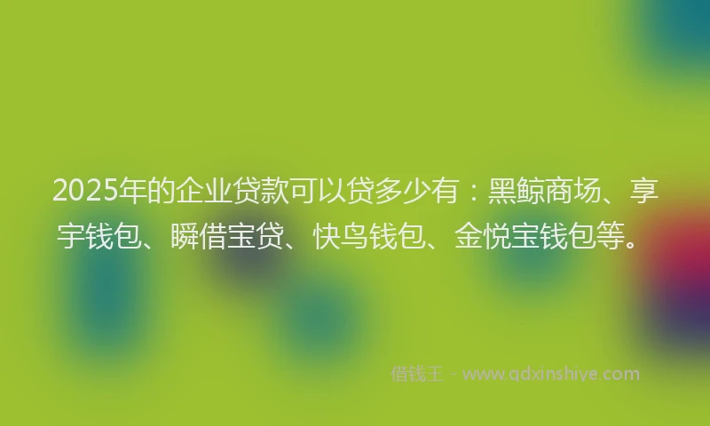 2025年的企业贷款可以贷多少有：黑鲸商场、享宇钱包、瞬借宝贷、快鸟钱包、金悦宝钱包等。