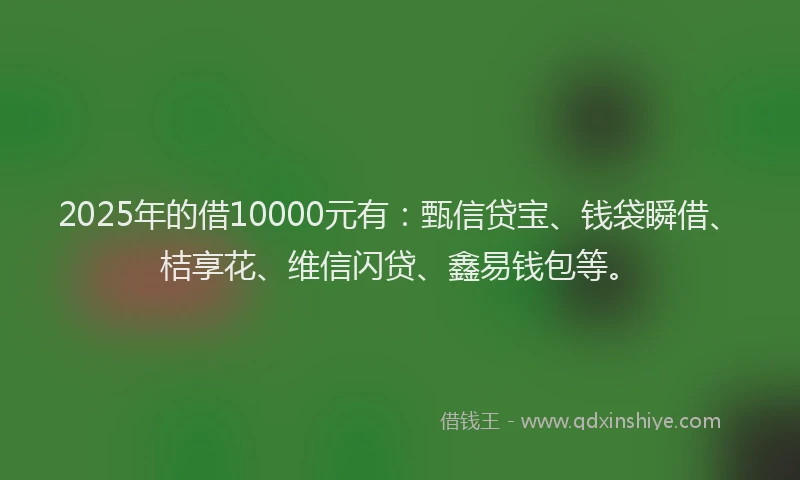 2025年的借10000元有：甄信贷宝、钱袋瞬借、桔享花、维信闪贷、鑫易钱包等。