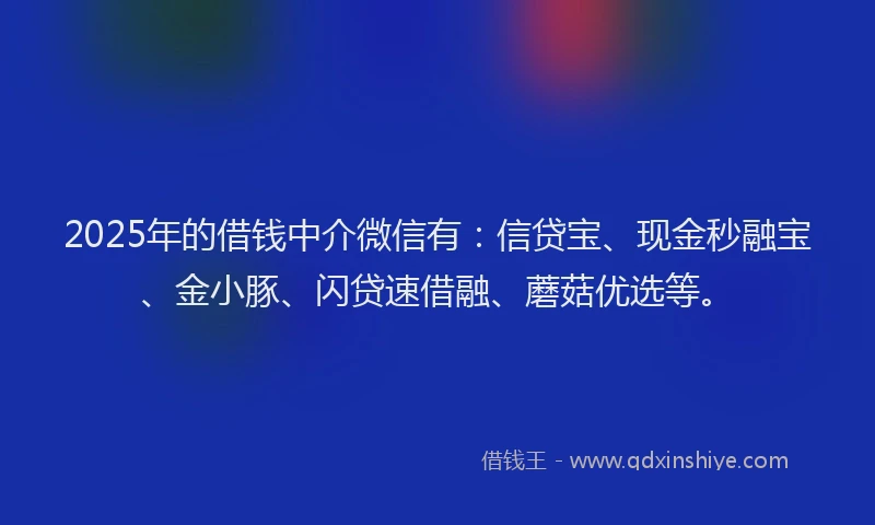 2025年的借钱中介微信有：信贷宝、现金秒融宝、金小豚、闪贷速借融、蘑菇优选等。