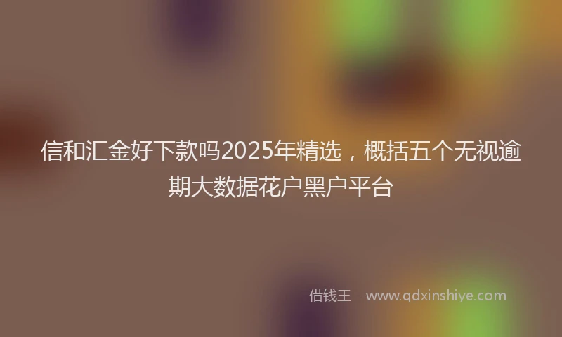 信和汇金好下款吗2025年精选，概括五个无视逾期大数据花户黑户平台