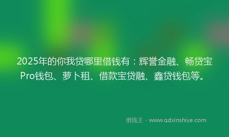 2025年的你我贷哪里借钱有：辉誉金融、畅贷宝Pro钱包、萝卜租、借款宝贷融、鑫贷钱包等。