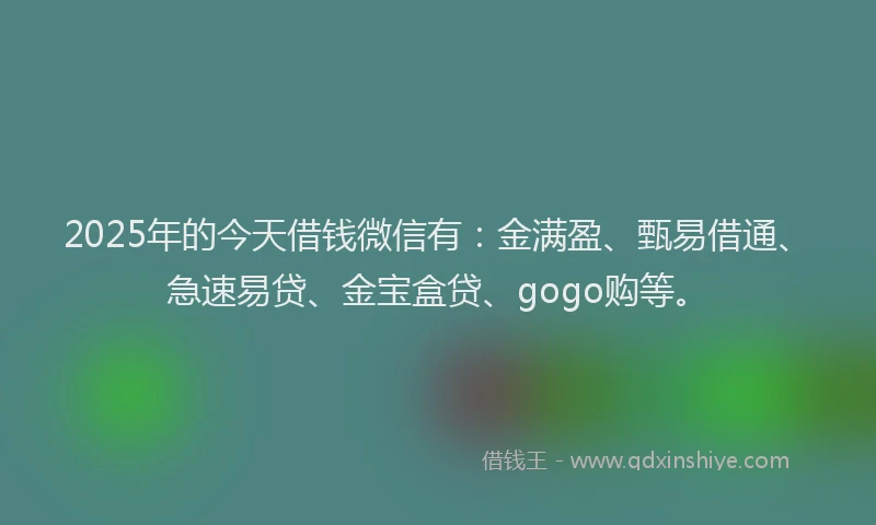 2025年的今天借钱微信有：金满盈、甄易借通、急速易贷、金宝盒贷、gogo购等。