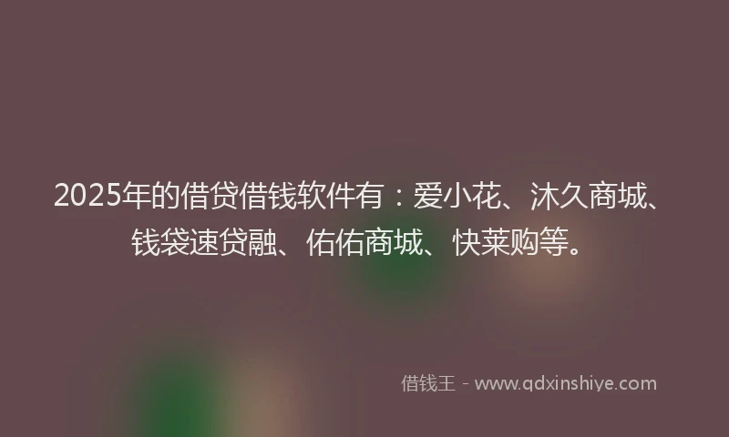 2025年的借贷借钱软件有：爱小花、沐久商城、钱袋速贷融、佑佑商城、快莱购等。