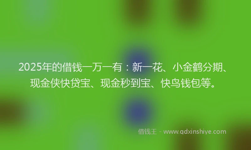 2025年的借钱一万一有：新一花、小金鹤分期、现金侠快贷宝、现金秒到宝、快鸟钱包等。