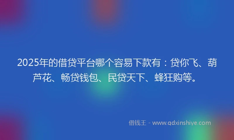 2025年的借贷平台哪个容易下款有：贷你飞、葫芦花、畅贷钱包、民贷天下、蜂狂购等。
