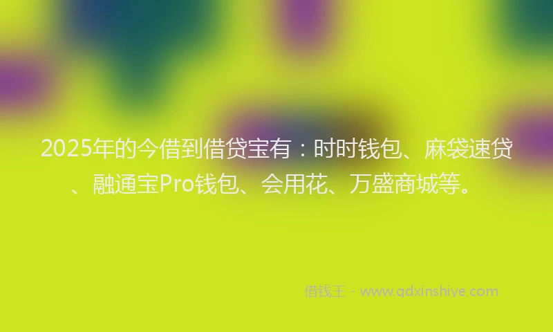 2025年的今借到借贷宝有：时时钱包、麻袋速贷、融通宝Pro钱包、会用花、万盛商城等。
