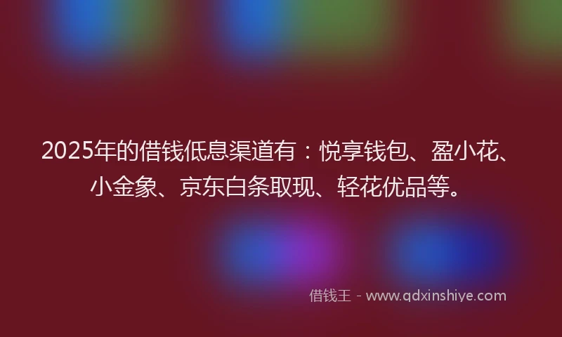 2025年的借钱低息渠道有：悦享钱包、盈小花、小金象、京东白条取现、轻花优品等。