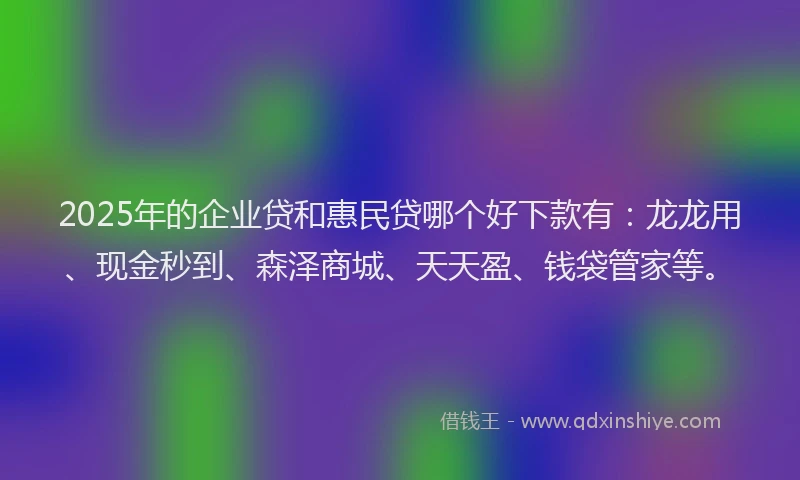 2025年的企业贷和惠民贷哪个好下款有：龙龙用、现金秒到、森泽商城、天天盈、钱袋管家等。