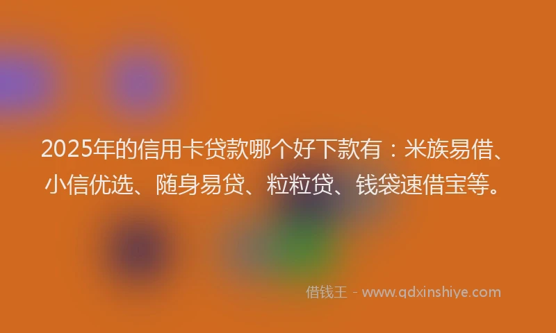 2025年的信用卡贷款哪个好下款有：米族易借、小信优选、随身易贷、粒粒贷、钱袋速借宝等。