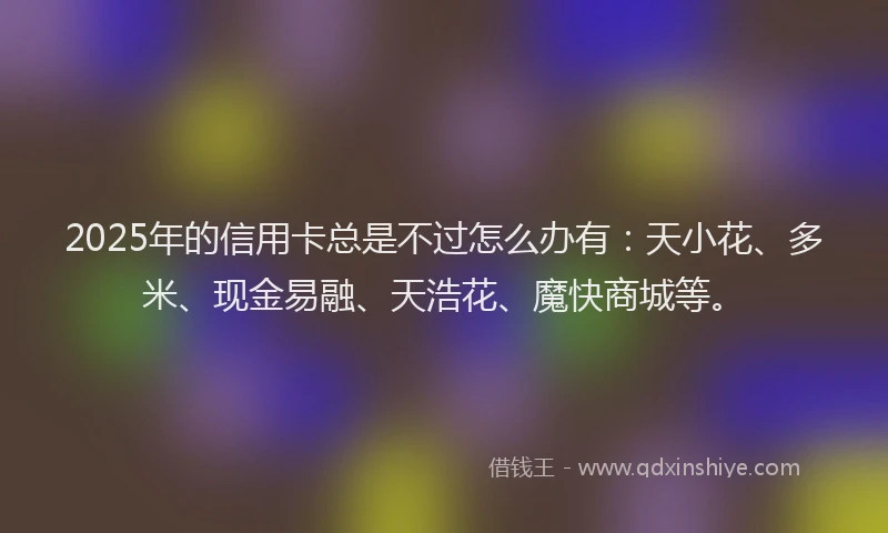 2025年的信用卡总是不过怎么办有：天小花、多米、现金易融、天浩花、魔快商城等。