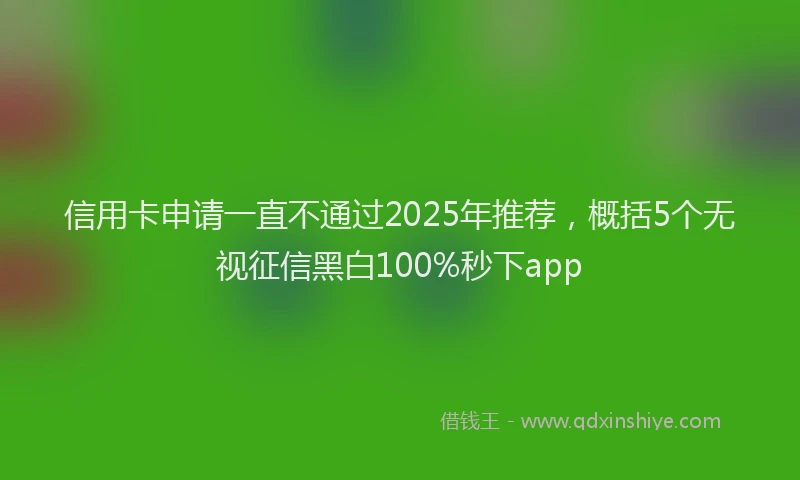 信用卡申请一直不通过2025年推荐，概括5个无视征信黑白100%秒下app