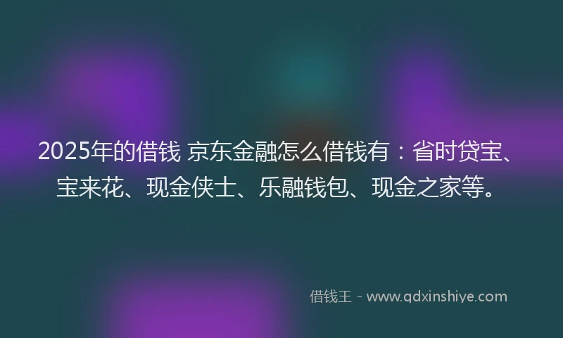 2025年的借钱 京东金融怎么借钱有：省时贷宝、宝来花、现金侠士、乐融钱包、现金之家等。