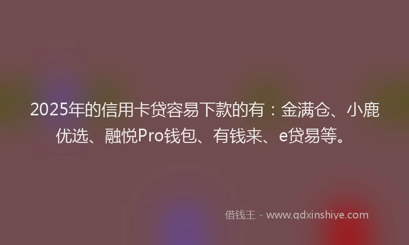 2025年的信用卡贷容易下款的有：金满仓、小鹿优选、融悦Pro钱包、有钱来、e贷易等。