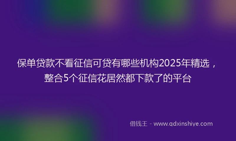 保单贷款不看征信可贷有哪些机构2025年精选，整合5个征信花居然都下款了的平台