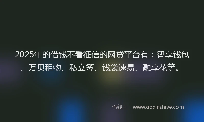 2025年的借钱不看征信的网贷平台有：智享钱包、万贝租物、私立签、钱袋速易、融享花等。